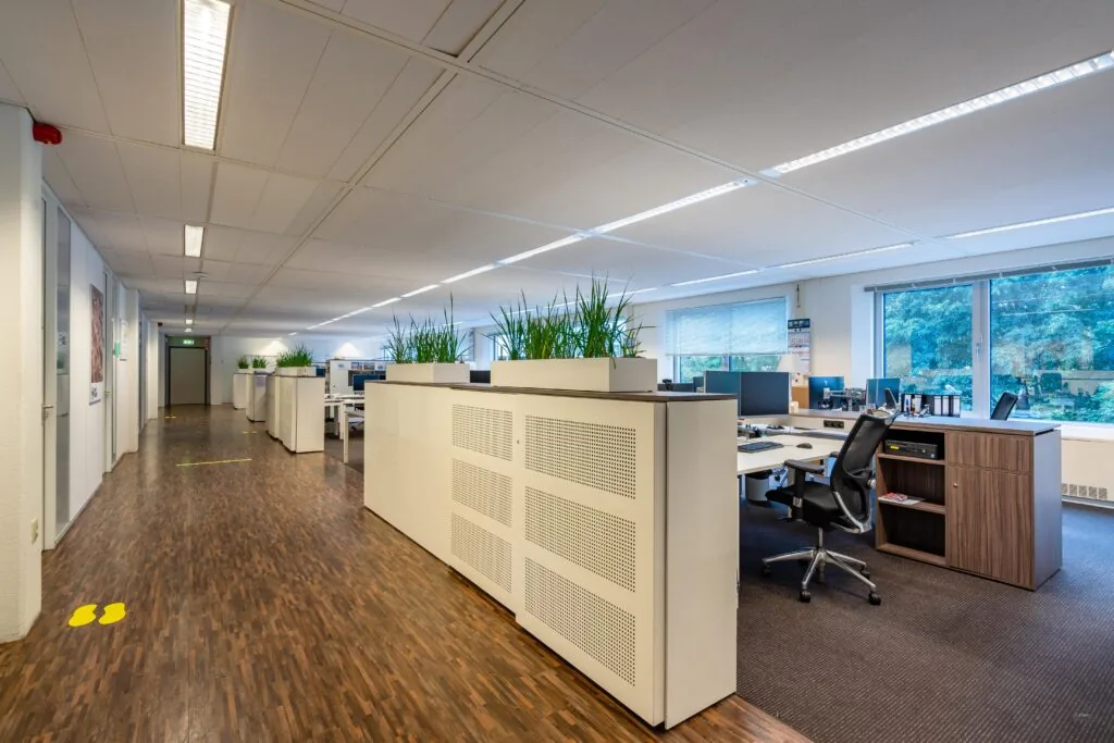 Een moderne, goed verlichte kantoorruimte met bureaus, stoelen en groene planten.