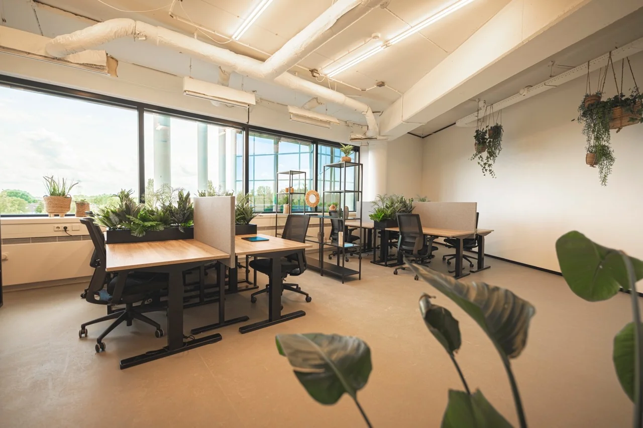 Moderne kantoorruimte met bureaus, ergonomische stoelen en veel groene planten voor een rustige werkomgeving.