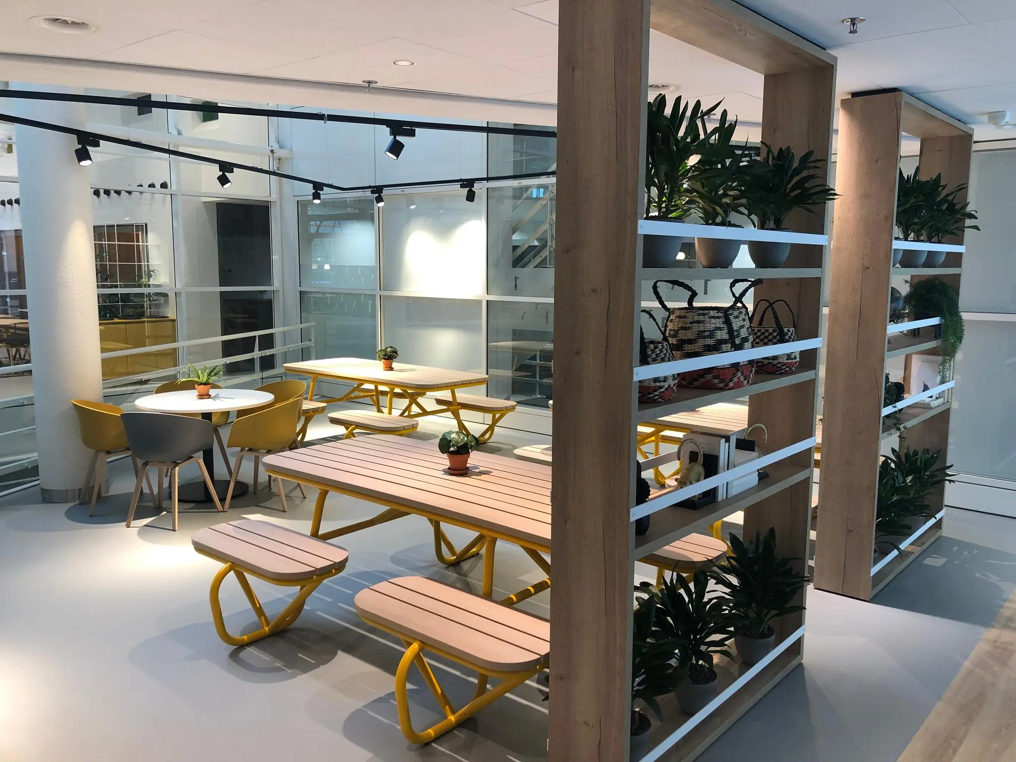 Moderne en lichte kantineruimte aan de Newtonlaan met houten tafels, gele accenten en open houten scheidingswanden met planten.