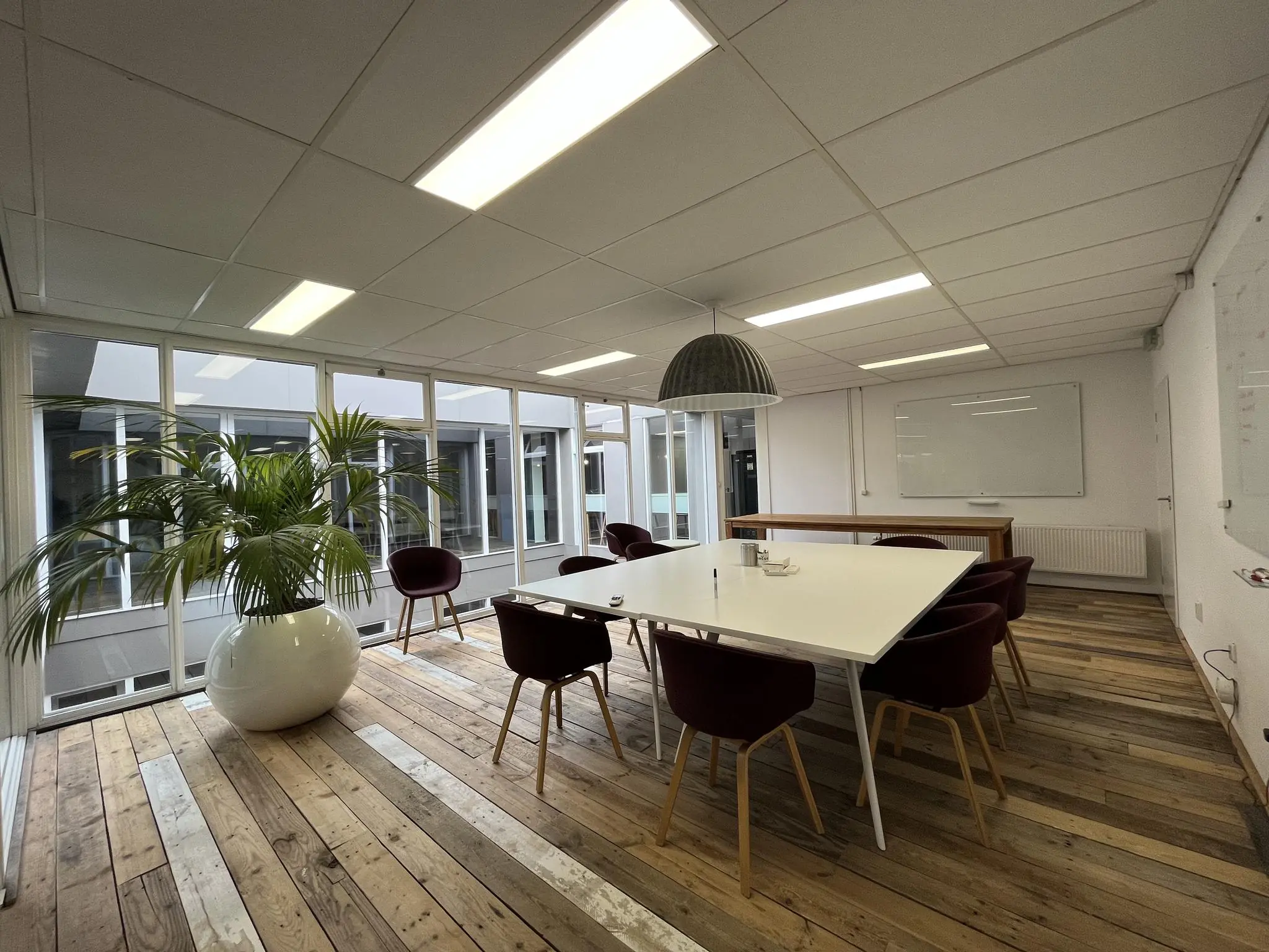 Vergaderruimte aan de Computerweg met houten vloer, grote plant, witte tafel en paarse stoelen.