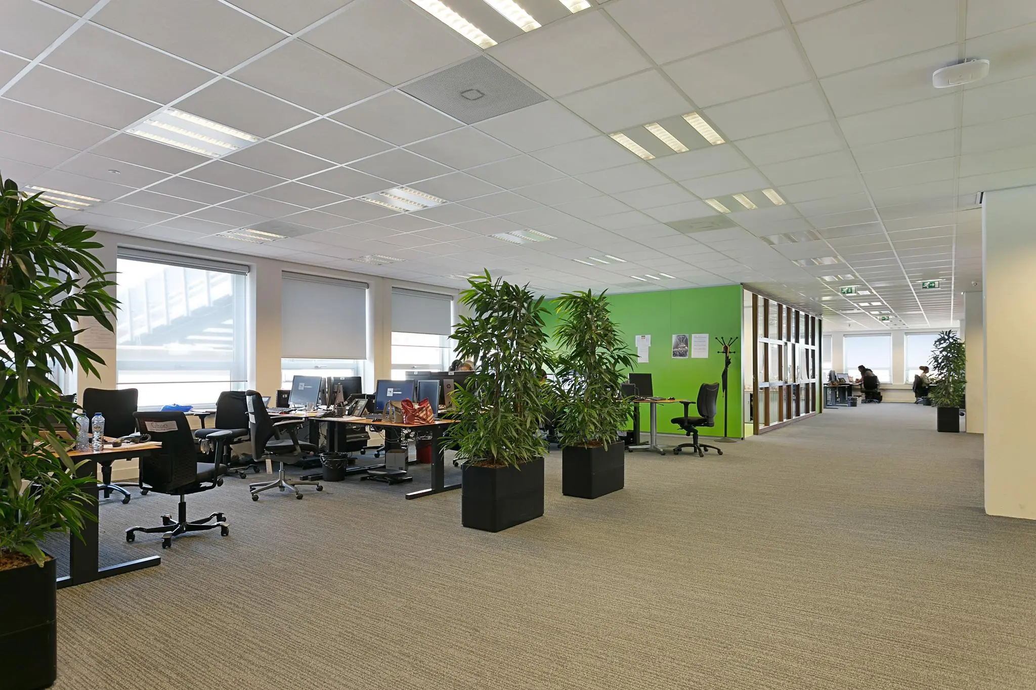 Moderne open kantoorruimte aan de Dynamostraat met bureaus, computers, groene planten en een opvallende groene muur.