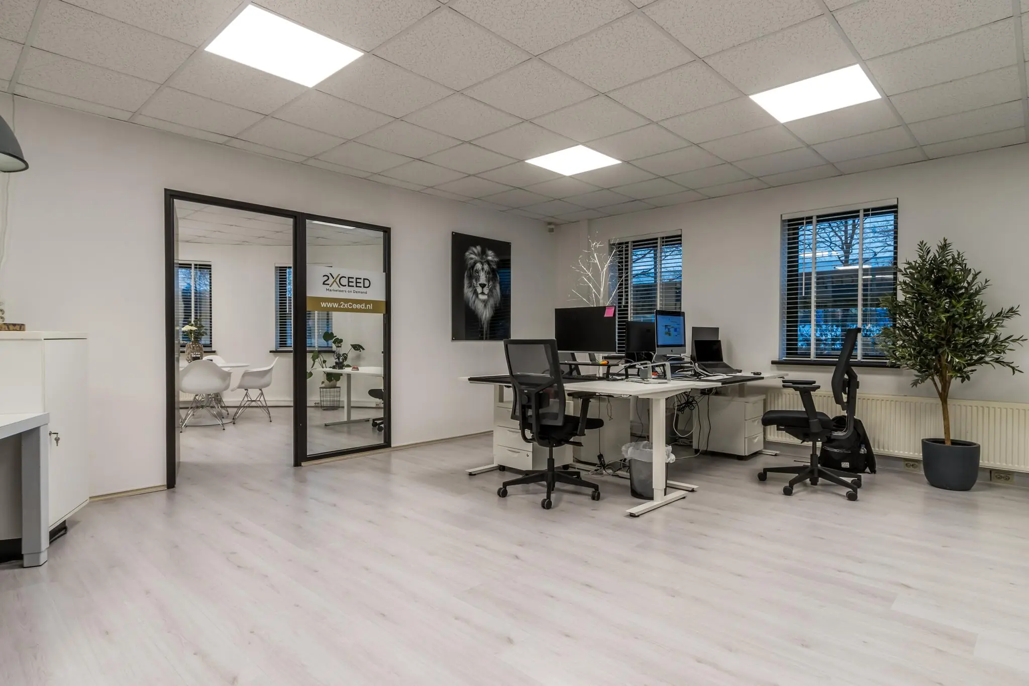 Modern kantoorinterieur aan de Koningsweg met werkplekken, een vergaderruimte en het logo van 2xCEED op de glazen deur.