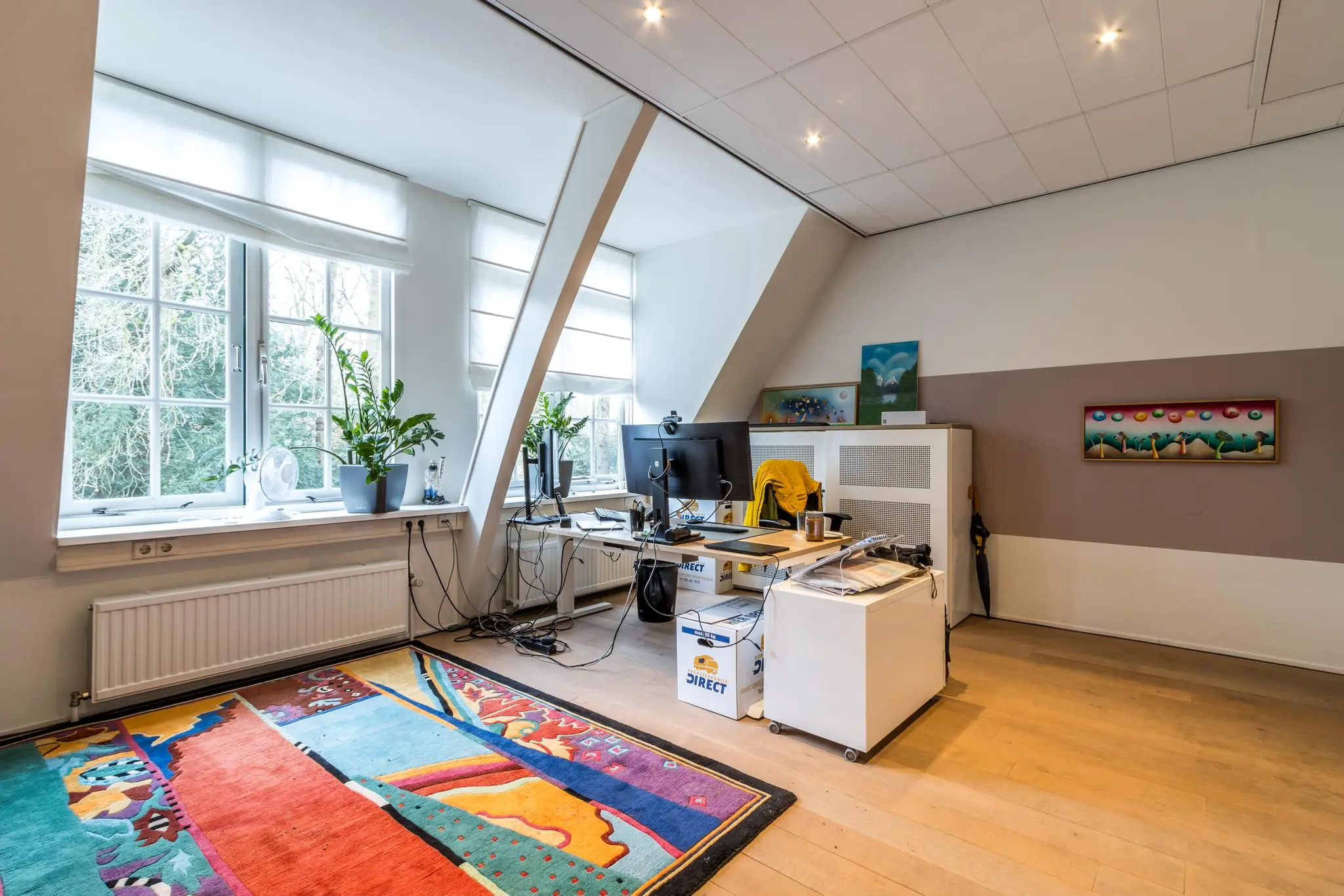 Modern kantoor met kleurrijk tapijt, werkplekken bij grote ramen en kunst aan de muur op de Driebergseweg.