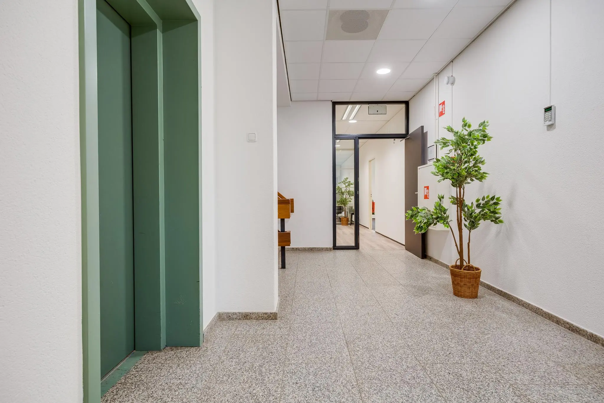 Moderne, lichte kantoorhal met groene liftdeuren, nepplanten en doorgang naar andere ruimtes aan de Zonnebaan.