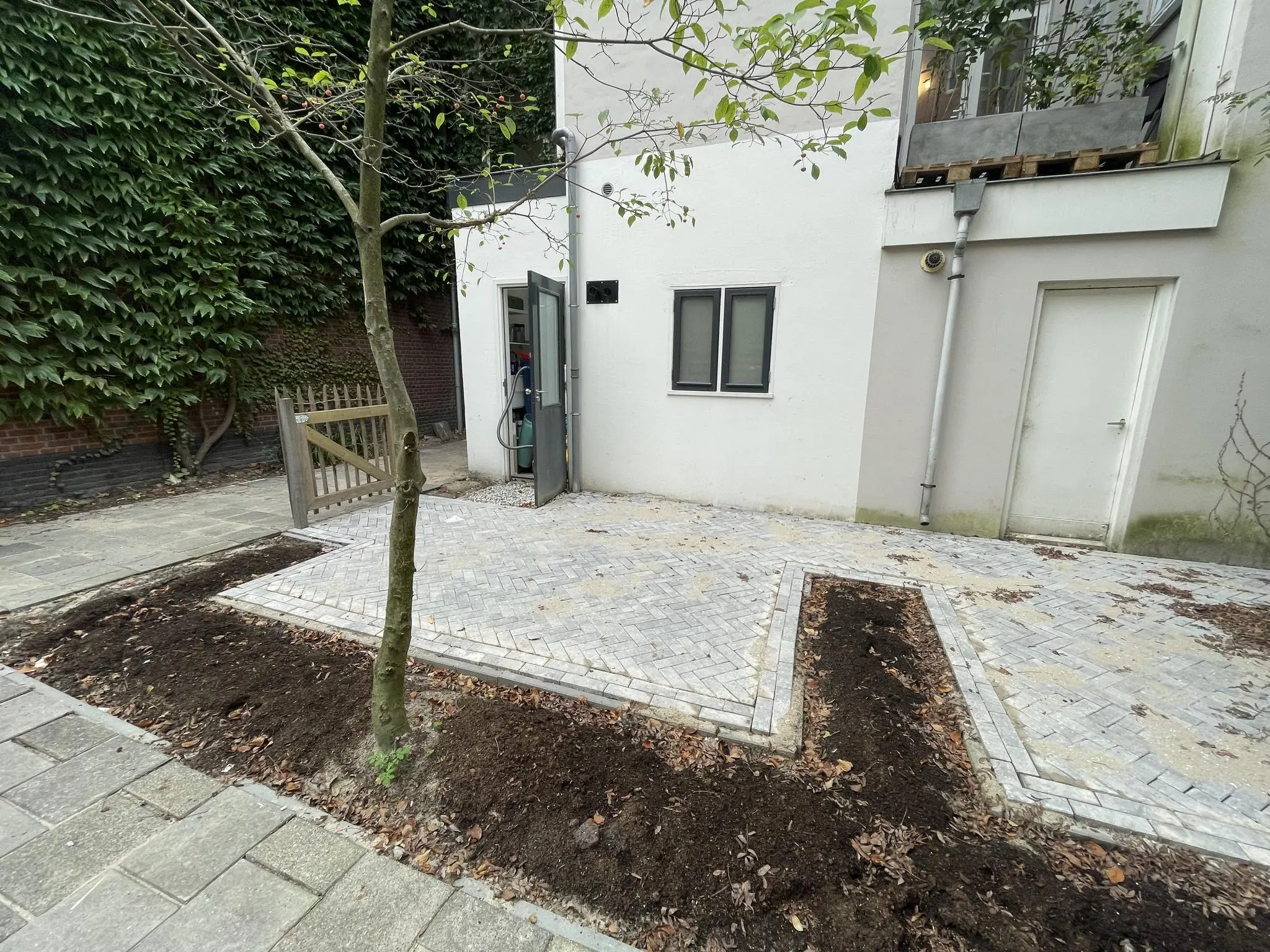 Net aangelegde bestrating met open grondvakken rondom een boom naast een wit gebouw aan de Westerstraat.