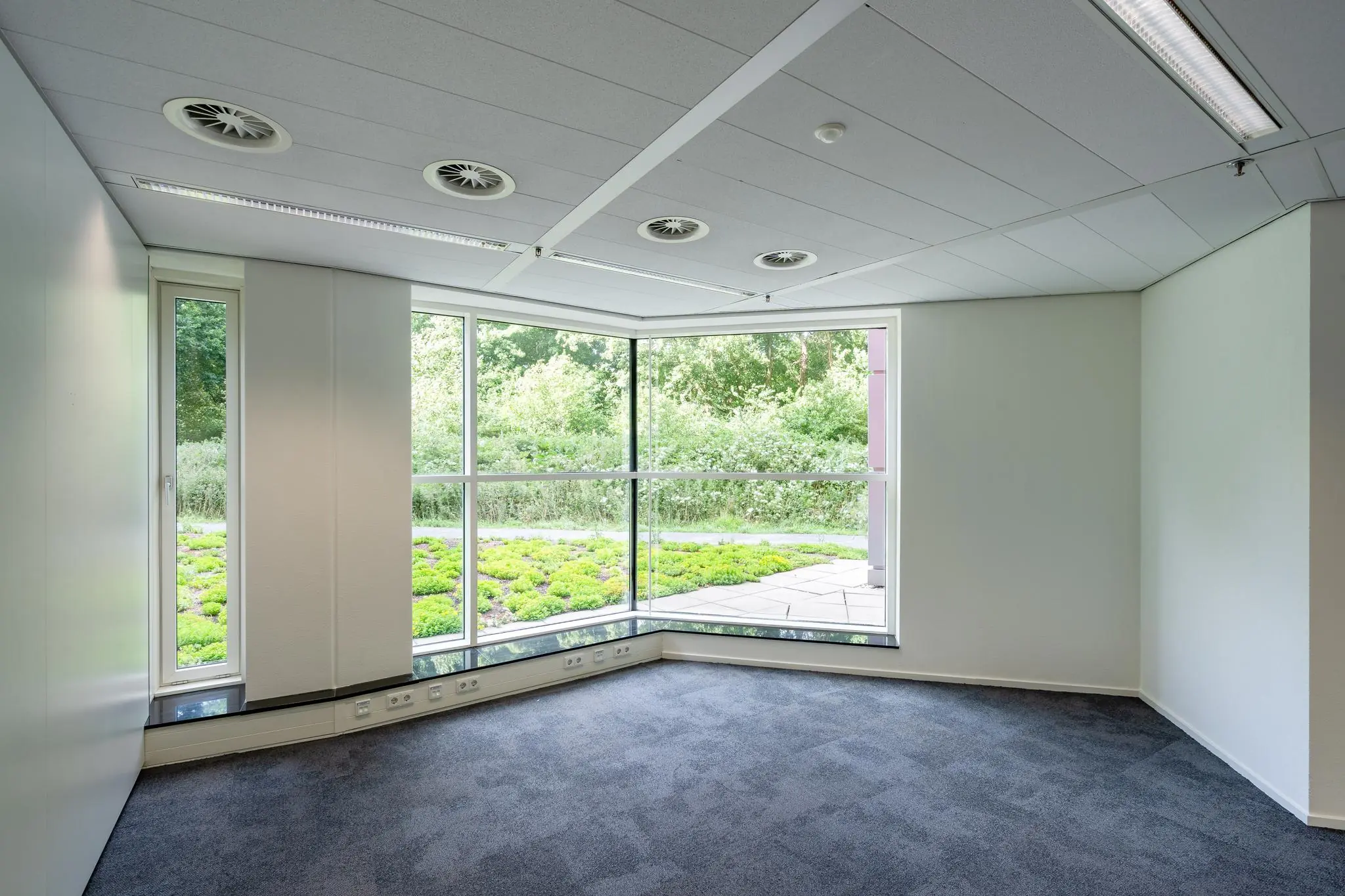 Leeg kantoorruimte met tapijtvloer en grote hoekramen aan de Newtonlaan, met uitzicht op groen.