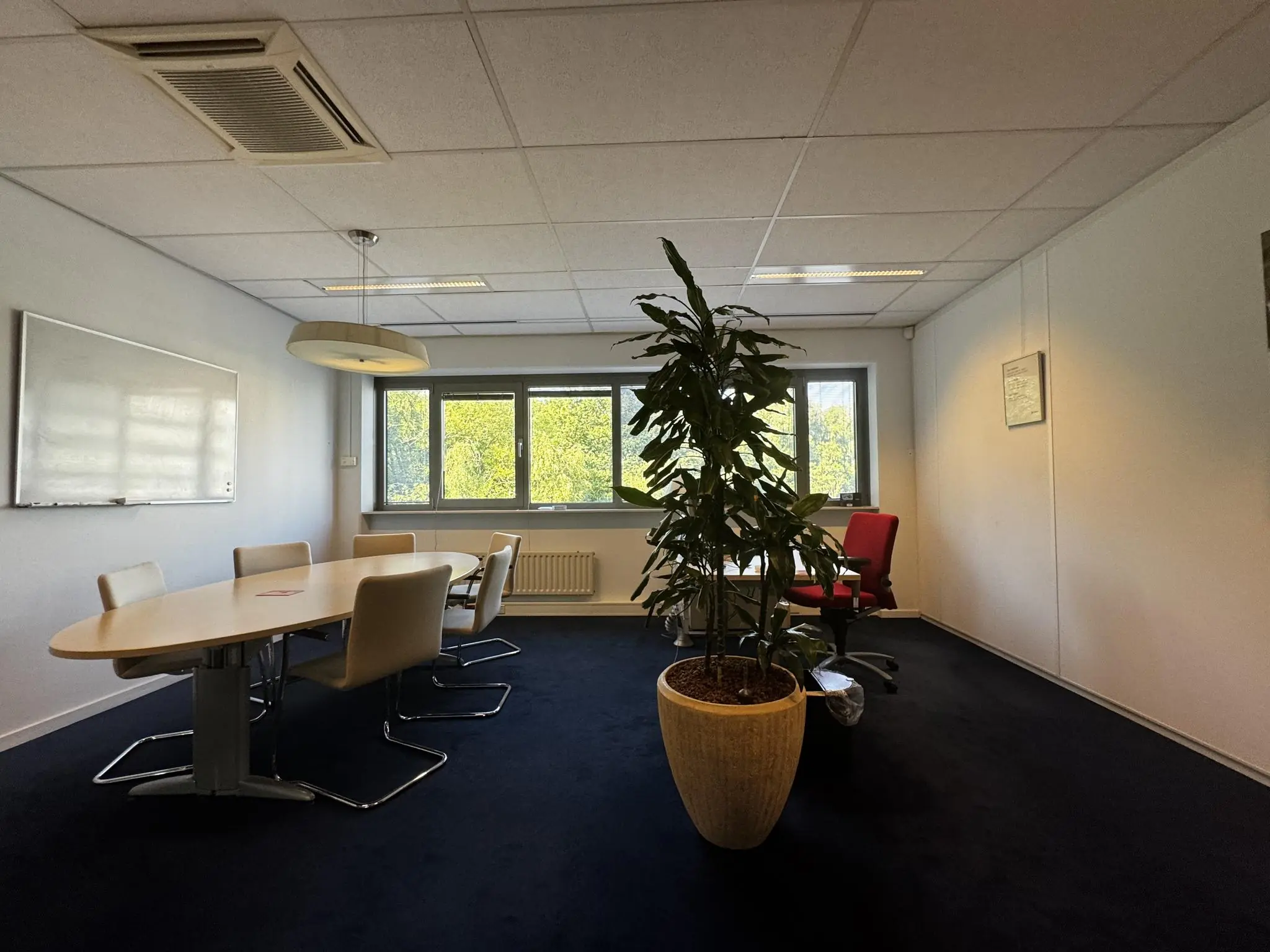 Vergaderruimte met ovale tafel, zes stoelen, een groot raam, een rode bureaustoel, een whiteboard en een grote kamerplant op een donkerblauwe vloer.