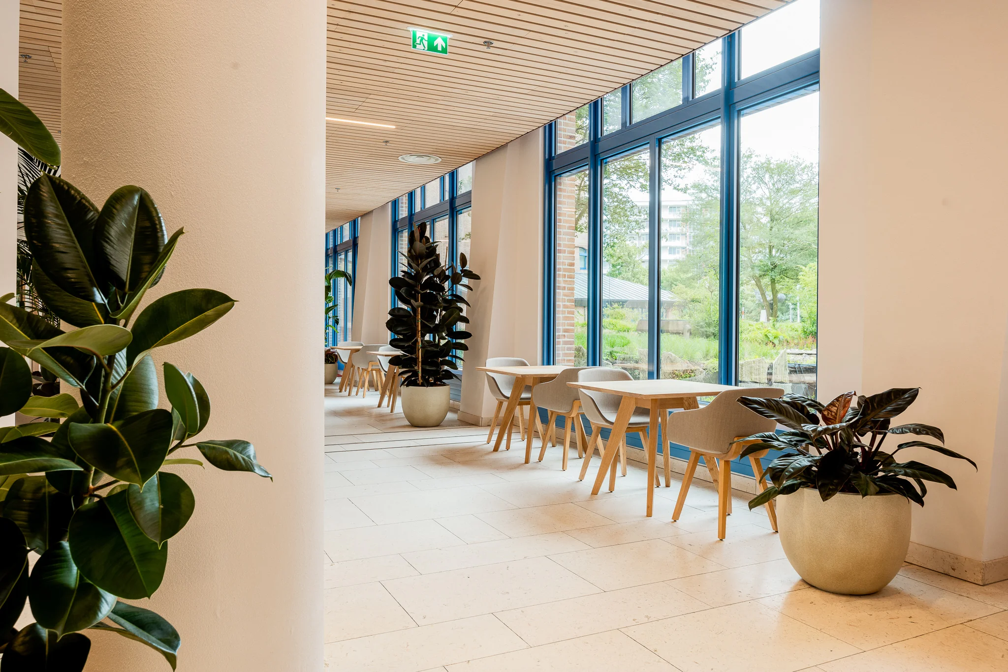 Lichte en moderne zitruimte in het Zandkasteel met houten meubels, grote kamerplanten en veel daglicht via de hoge ramen.