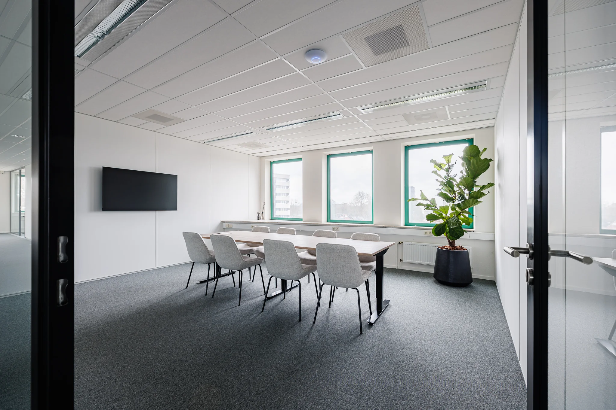 Licht vergaderruimte met een tafel, stoelen, grote plant en een scherm aan de muur.