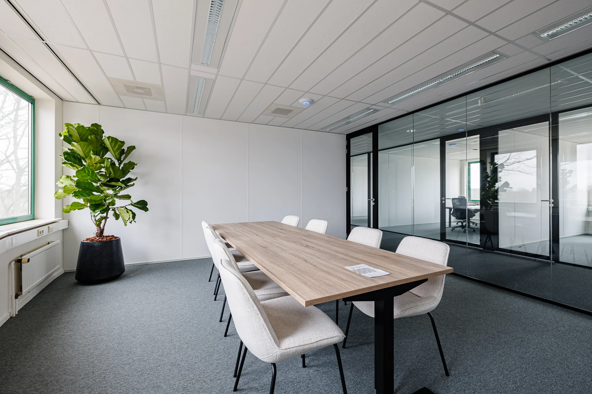 Een moderne vergaderruimte met een lange houten tafel, omringd door witte stoelen en een grote plant bij het raam.