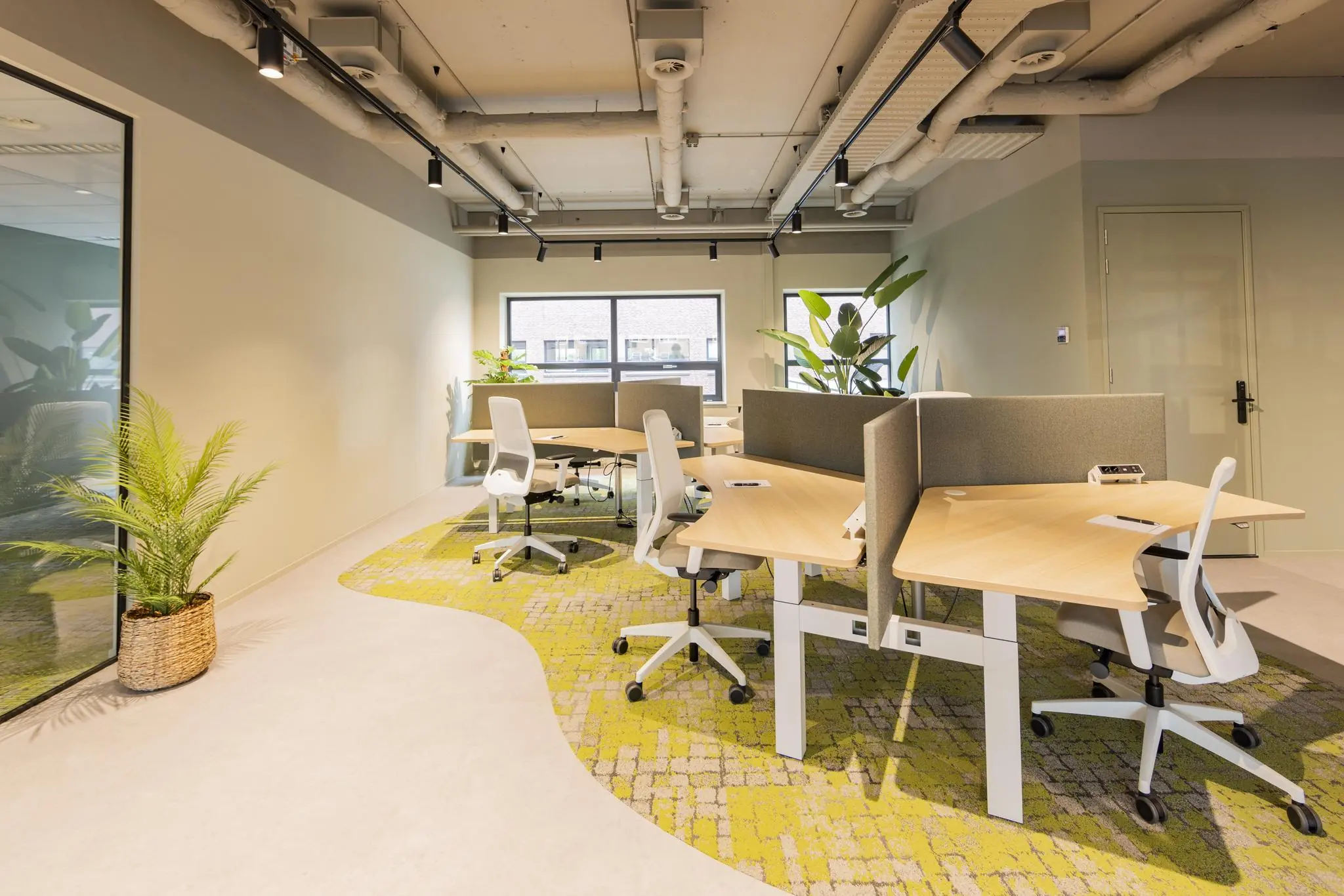 Modern kantoorinterieur op Rijnzathe met ergonomische werkplekken, groen accenttapijt en grote planten.