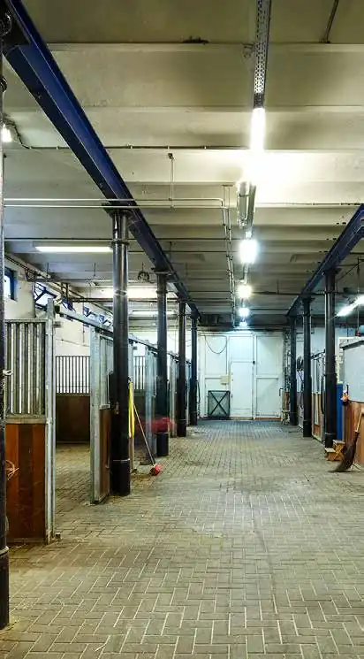 Interieur van een nette, goed verlichte paardenstal aan de Ruysdaelkade.