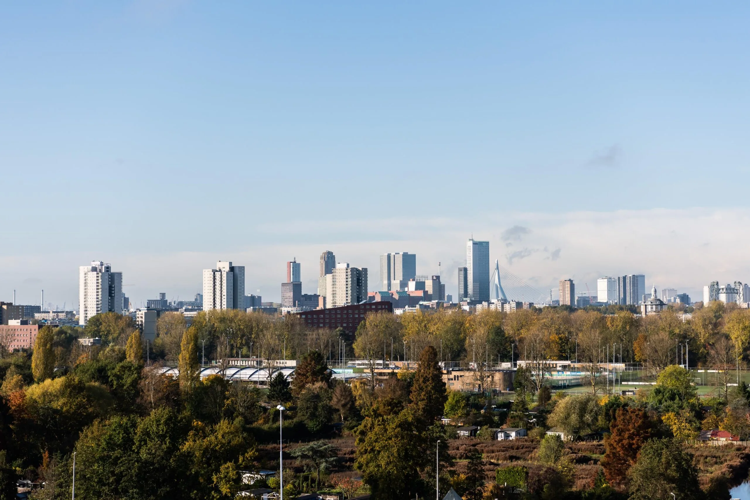 Panoramic view of the Rotterdam skyline with the Erasmus Bridge and Rivium Quadrant buildings in the background on a clear day.