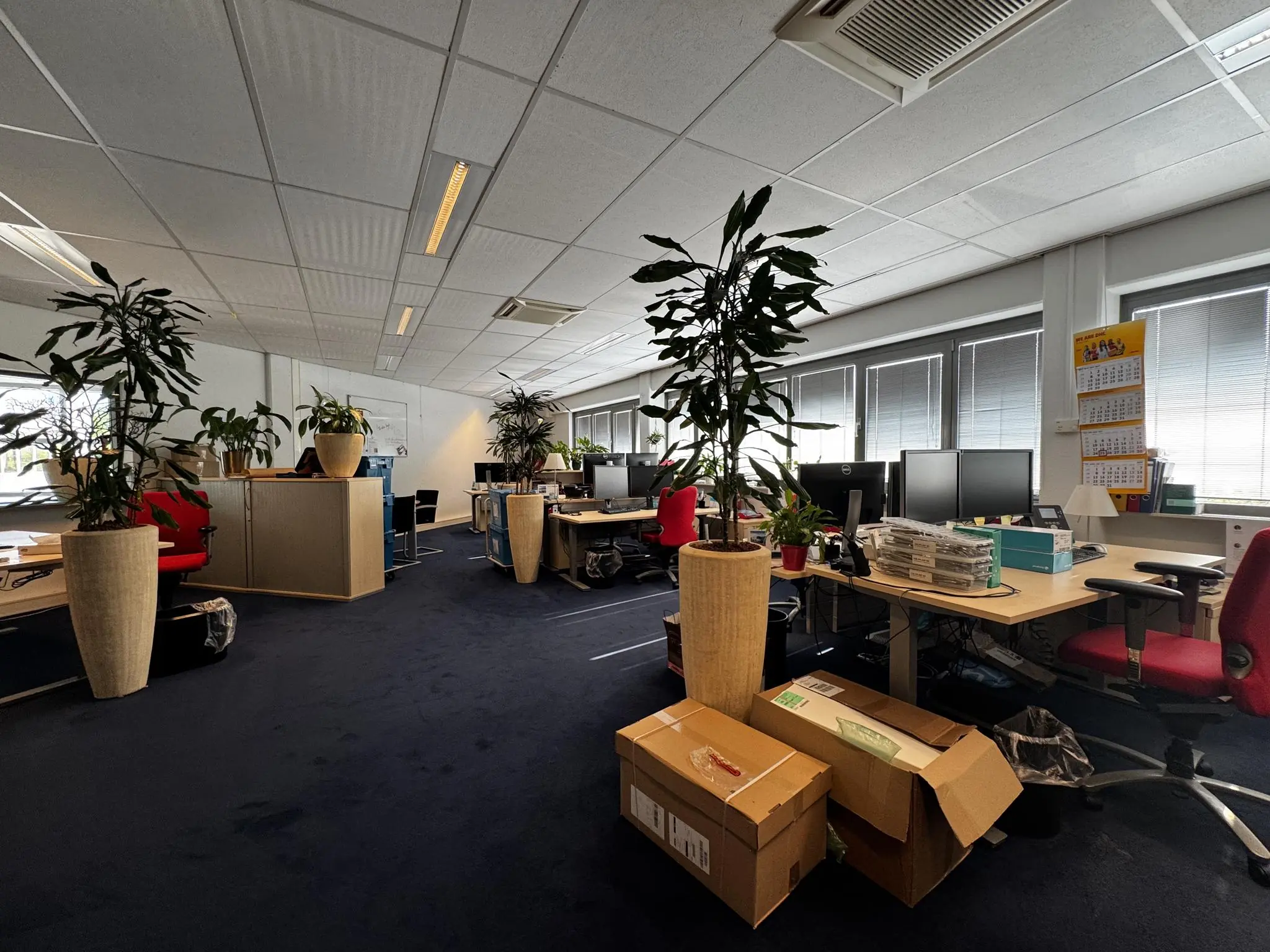 Ruim en modern kantoor aan de Softwareweg met werkplekken, grote planten en dozen op de vloer.