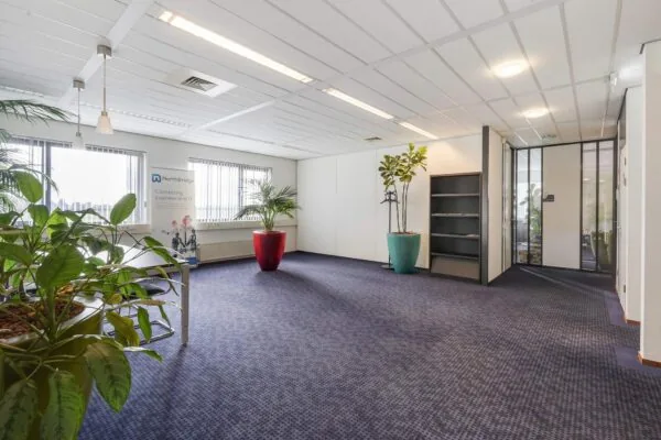 Moderne kantoorruimte aan de Laan van S’ Gravenmade met blauwe vloerbedekking, grote planten en veel daglicht.