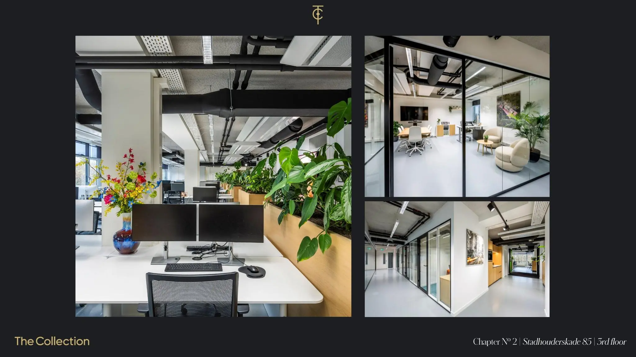 Modern kantoorinterieur op de derde verdieping van Stadhouderskade 85, met open werkplekken, glazen vergaderruimtes en veel groen.