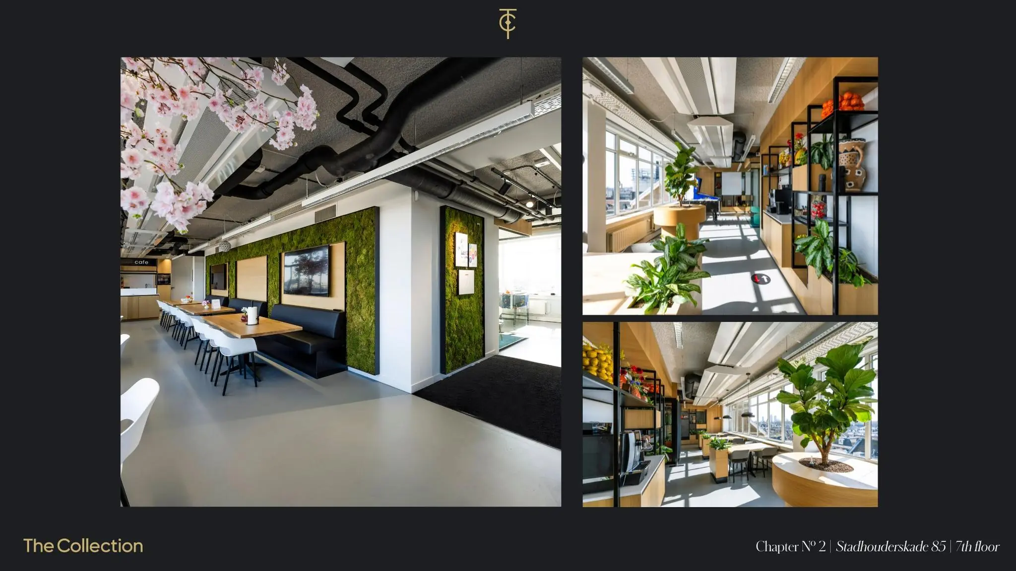 Moderne en licht ingerichte kantoorruimte op de 7e verdieping aan de Stadhouderskade 85, met veel planten, zitplekken en een caféhoek.