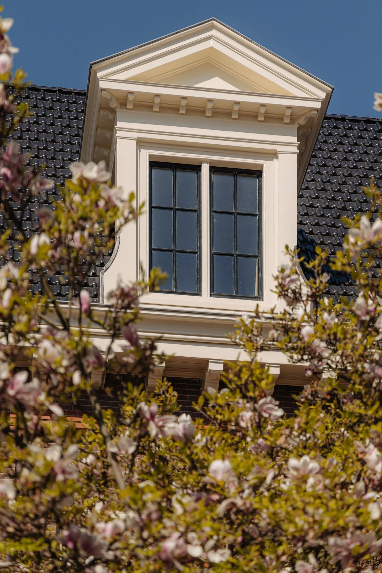 Witte dakkapel met zwart raam op een huis aan de Leidseweg, deels omringd door bloesemende takken.