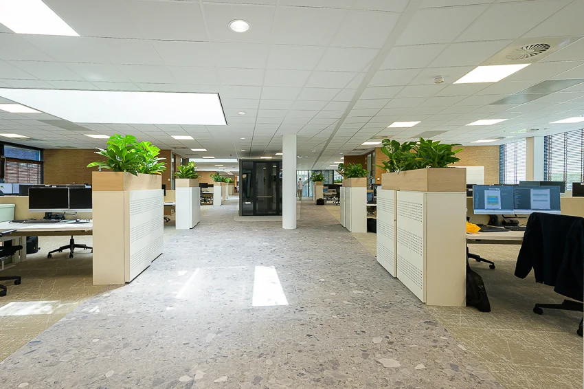 Modern open-plan office at Laan van Barcelona with rows of desks, green plants, and natural lighting.