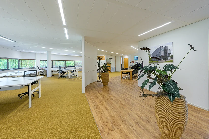 Modern open-plan office interior with desks, large potted plants, and a photo of the Laan van Barcelona building on the wall.