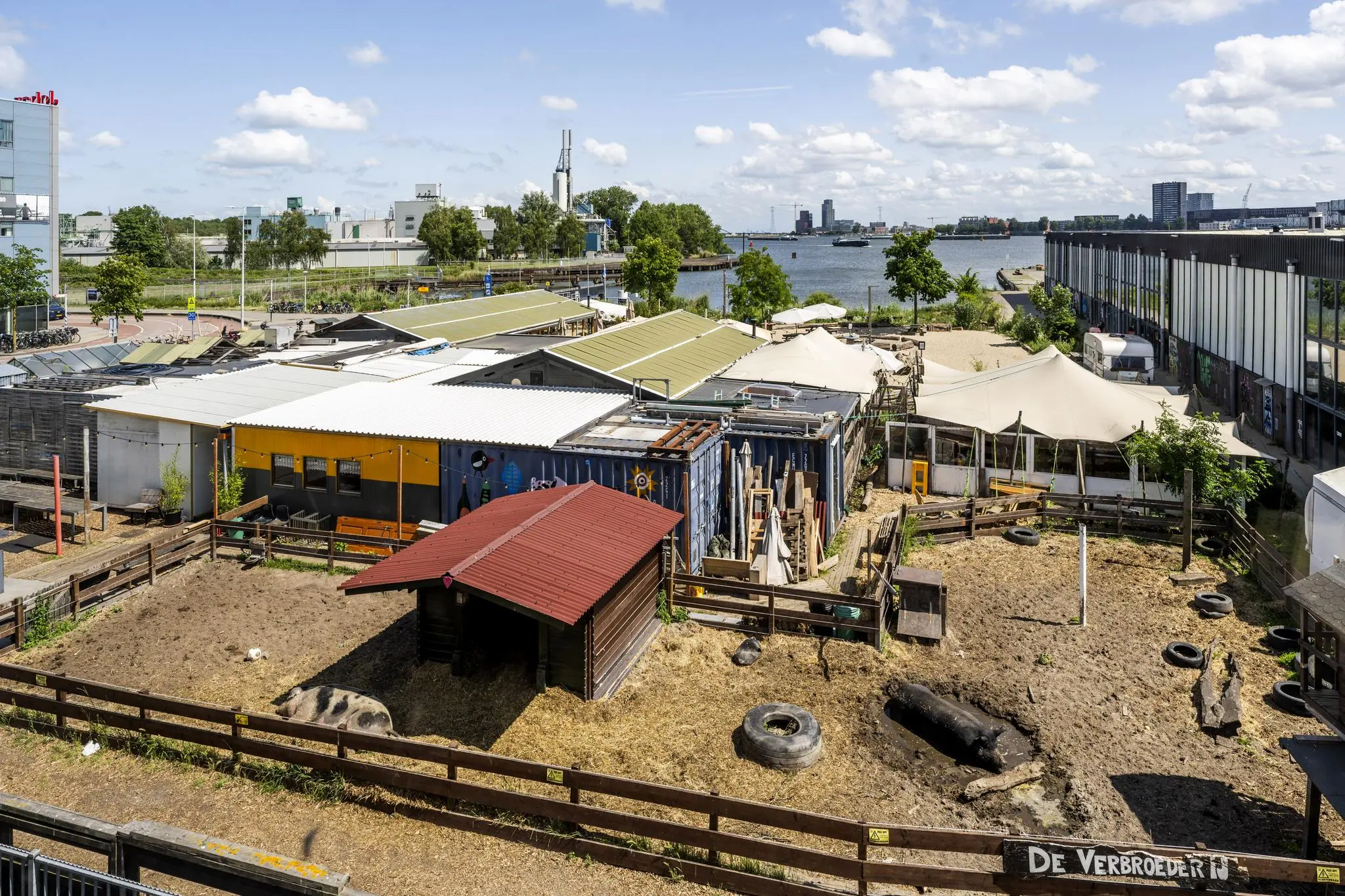 Stadsboerderij De VerbroederIJ aan de Johan van Hasseltweg met dierenverblijven, kunstcontainer en uitzicht op het IJ.