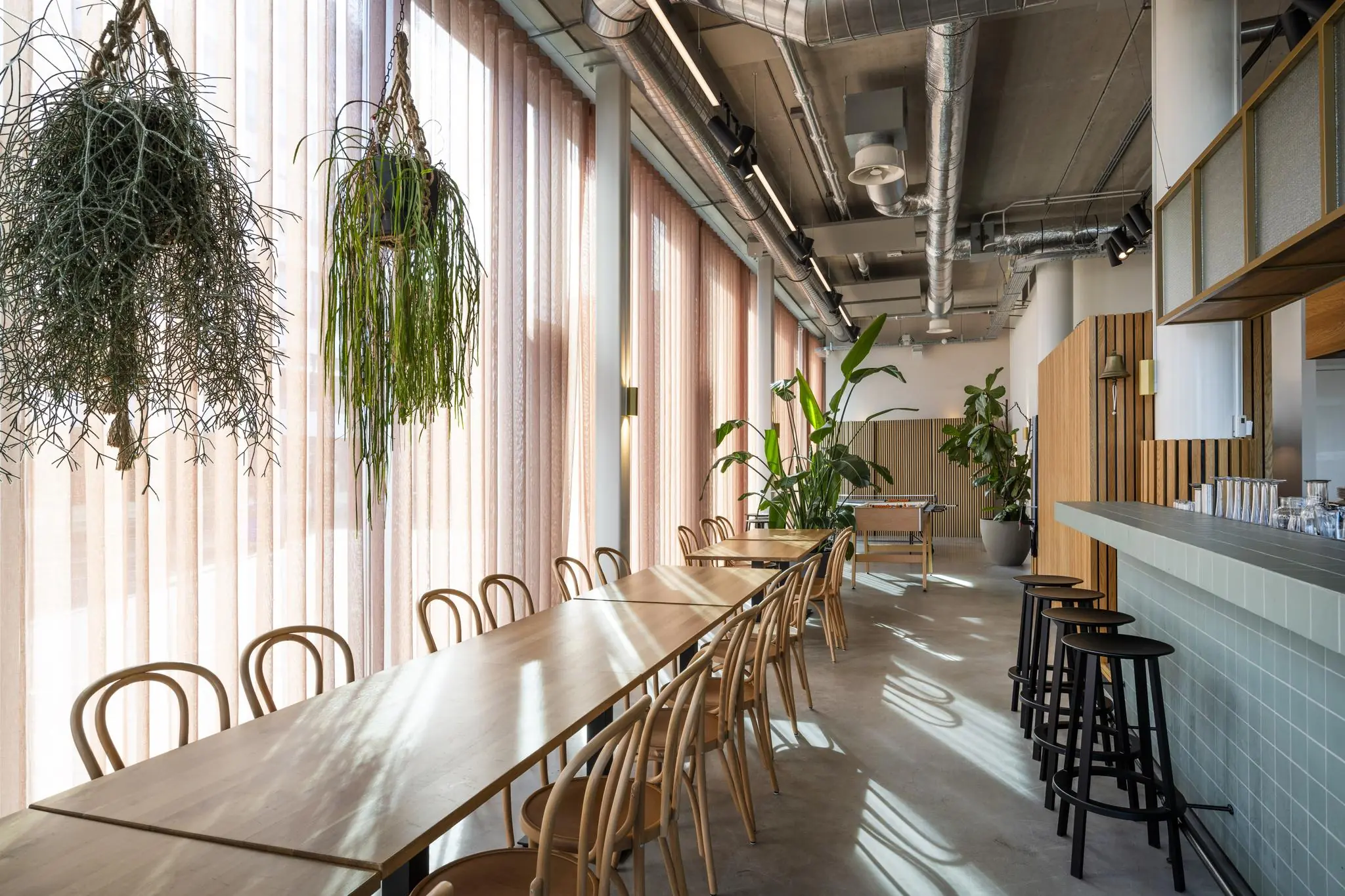 Moderne en lichte interieurruimte aan de Moermanskade met lange houten tafels, hangplanten en een bar met krukken.
