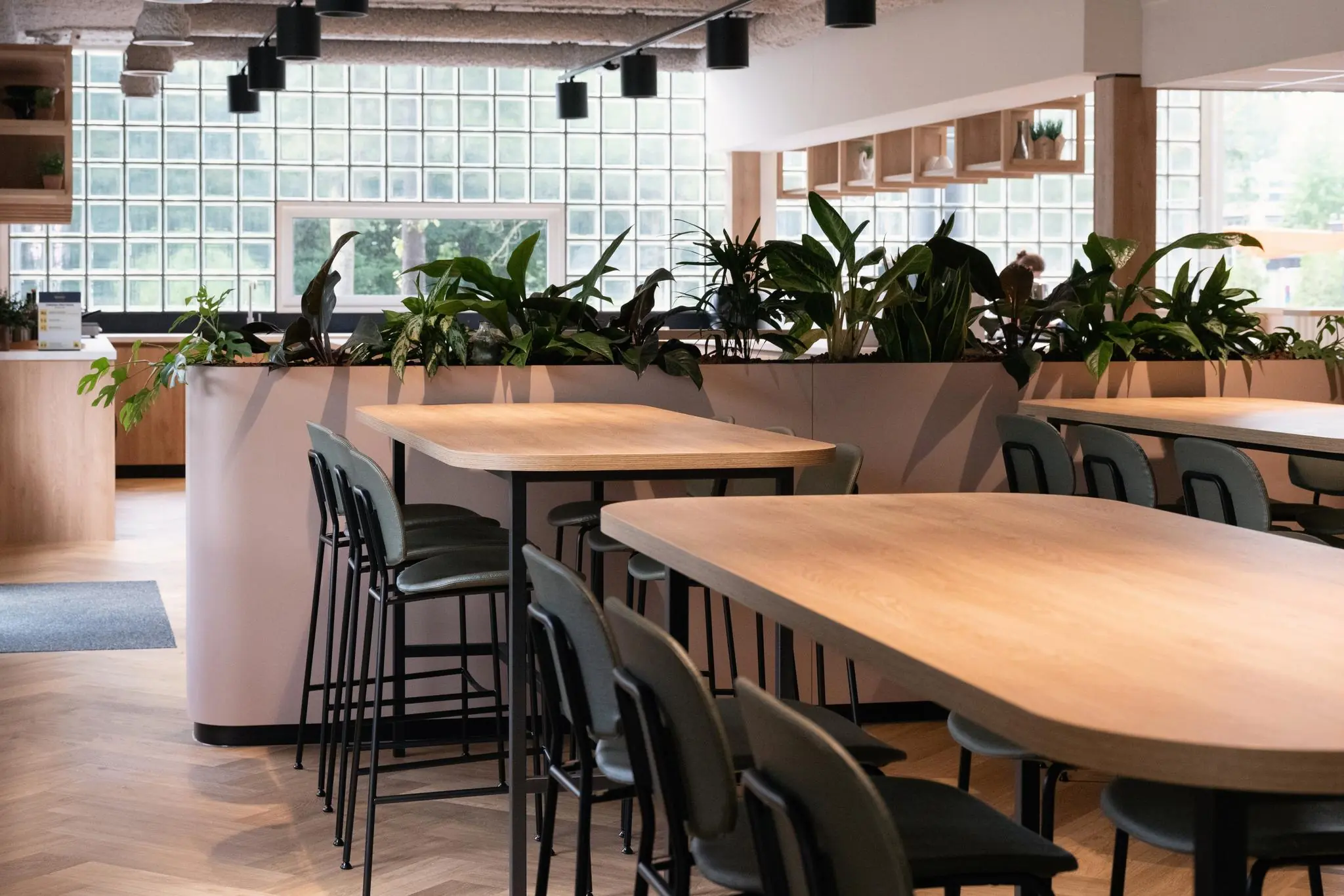 Modern ingerichte bedrijfsruimte aan de Overschiestraat met houten tafels, hoge stoelen en groene planten.