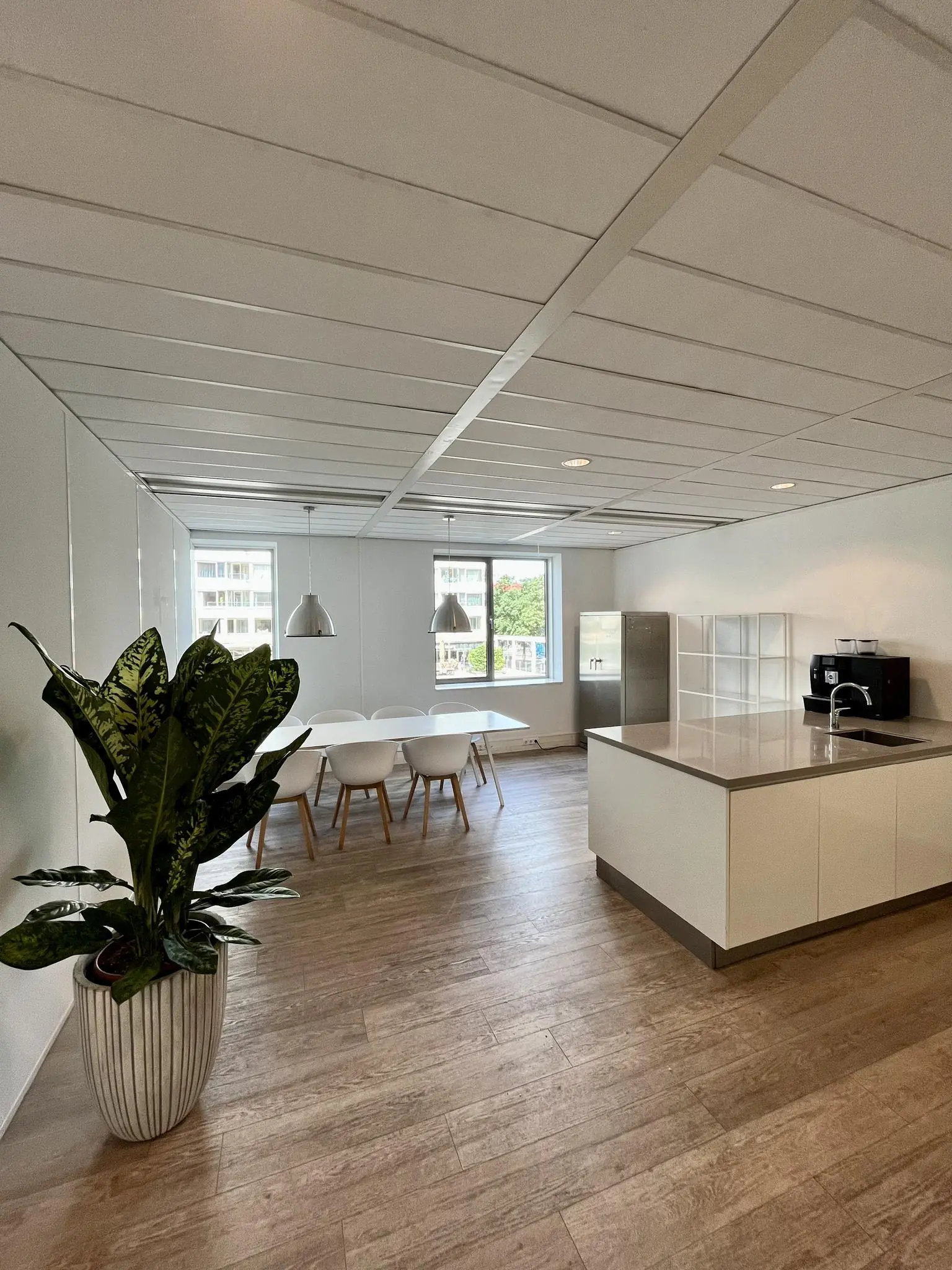Moderne, lichte keuken en eetruimte aan het Koningin Wilhelminaplein met houten vloer, witte meubels en grote plant.