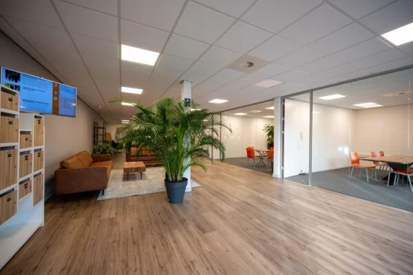 Moderne kantoorruimte aan de Vlierberg met loungehoek, vergaderruimtes en grote kamerplanten.