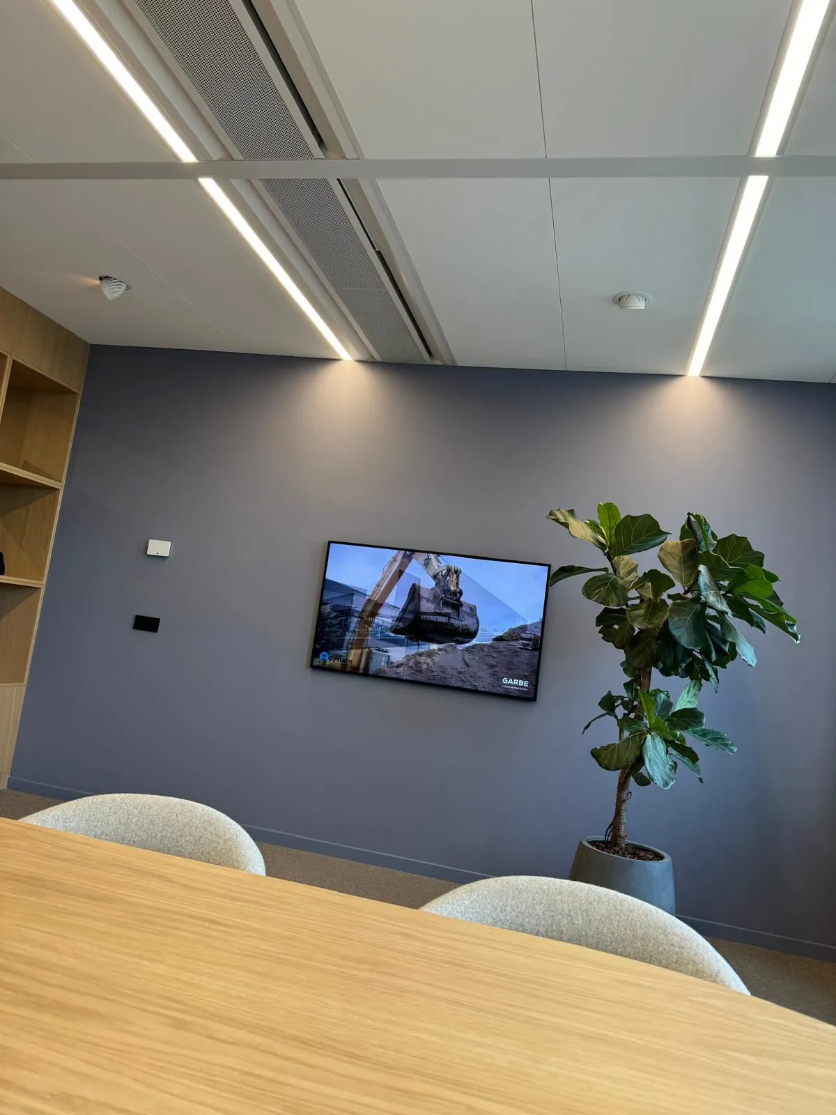 Vergaderruimte aan de Nieuwe Looiersstraat met een houten tafel, grijze stoelen, een grote kamerplant en een tv-scherm aan de muur.