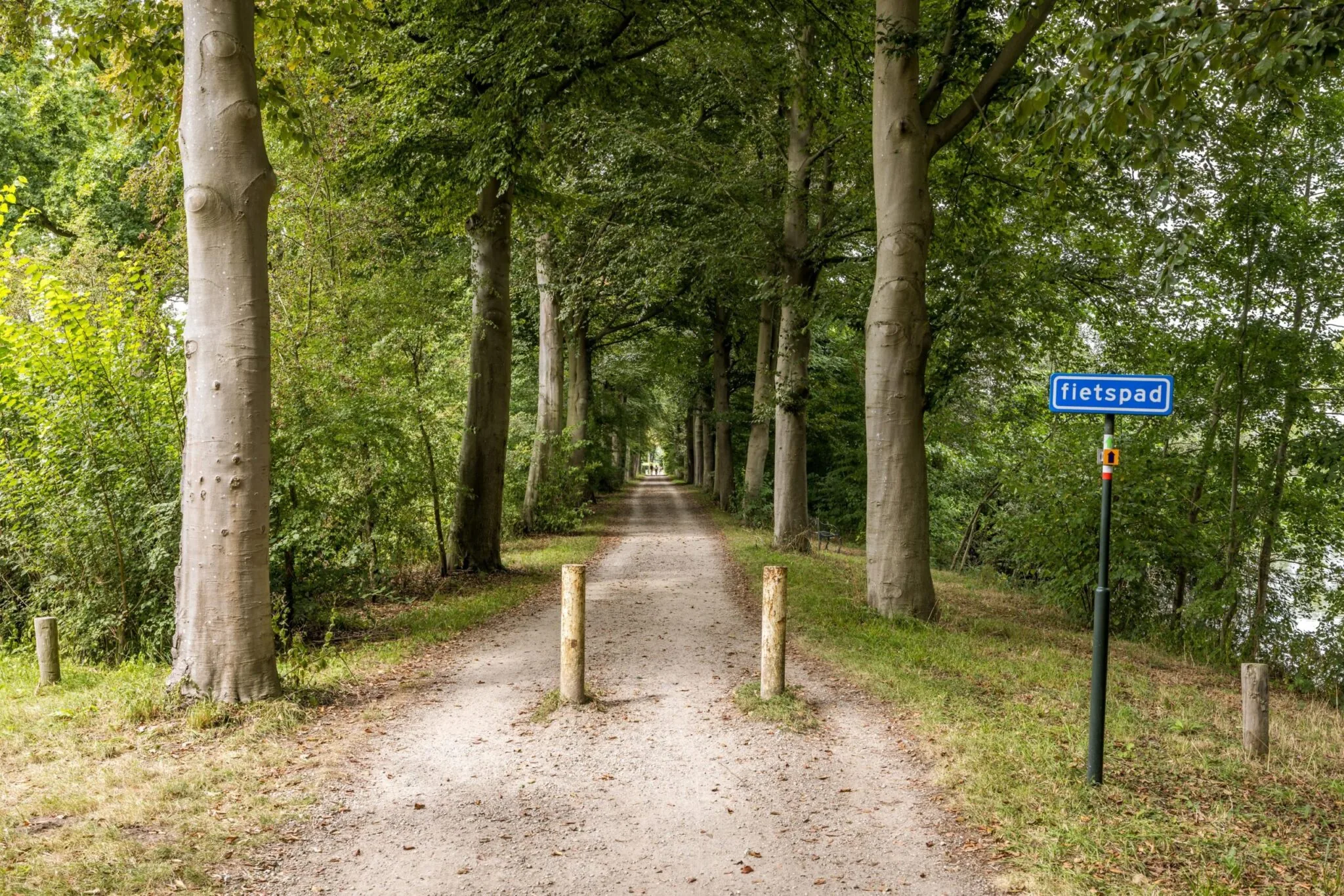 Boomrijke Vossegatsedijk met fietspad en bord aan het begin van het onverharde pad.
