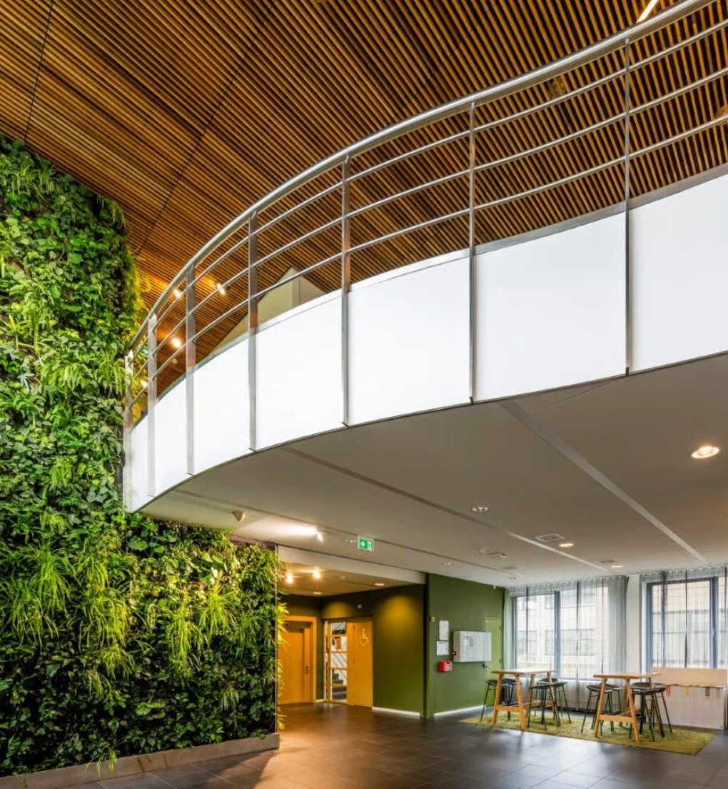 Moderne kantoorruimte aan de Boeing Avenue met een groene plantenwand, houten plafond en open zitgedeelte.