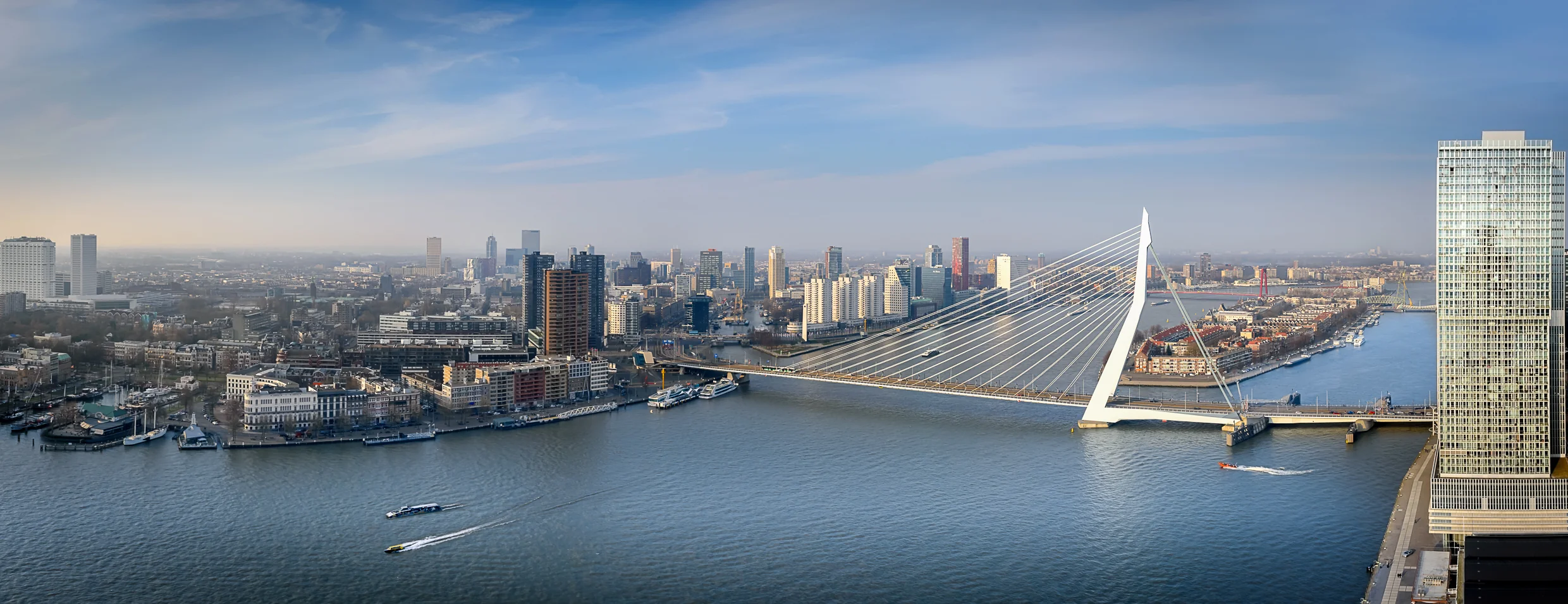 Panoramisch uitzicht op Rotterdam met de Erasmusbrug en hoogbouw aan de Wilhelminakade.