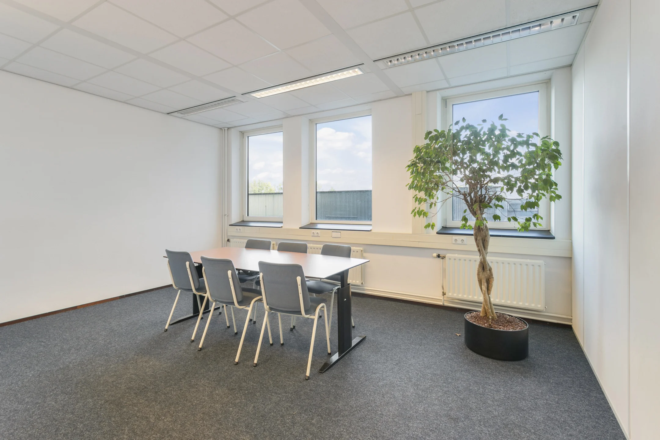 Vergaderruimte met een tafel, zes stoelen en een grote kamerplant bij het raam in een kantoor aan de Hoefsmidstraat.