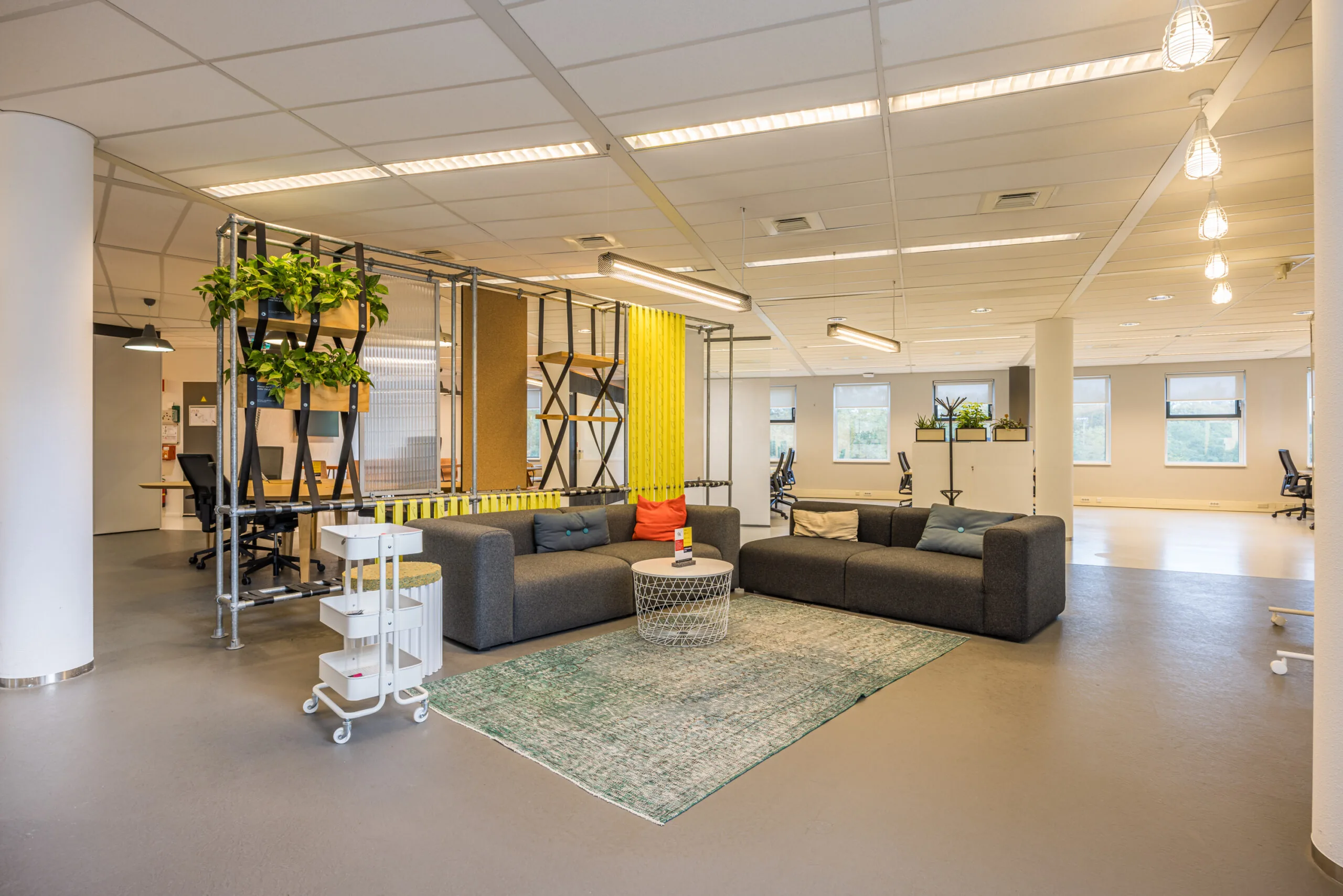 Modern open-plan office lounge area with gray sofas, a green rug, and indoor plants at Olympia.