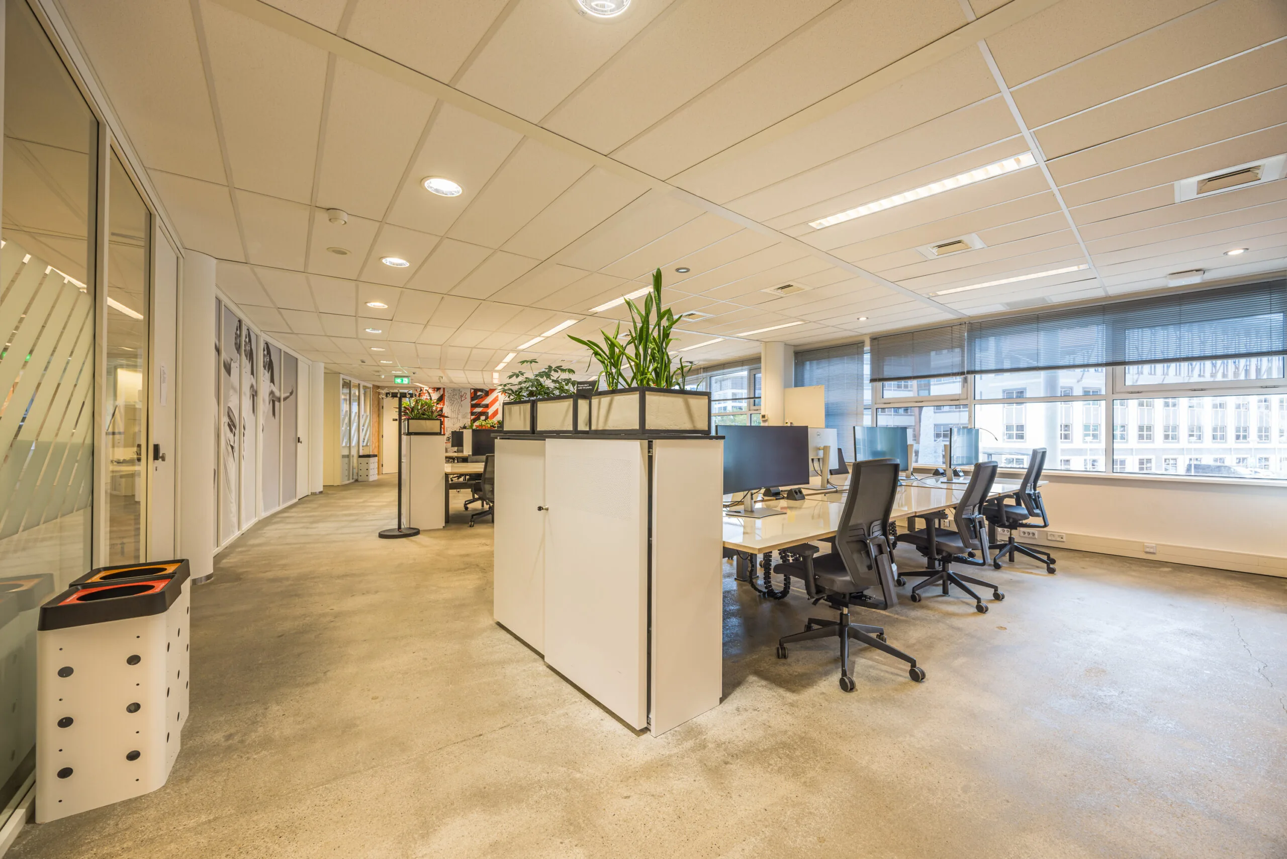 Modern open-plan office space with workstations, large windows, and indoor plants at Olympia.
