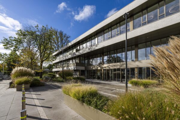 Modern office building "Walborg 2" with large windows and surrounding ornamental grasses on a sunny day.