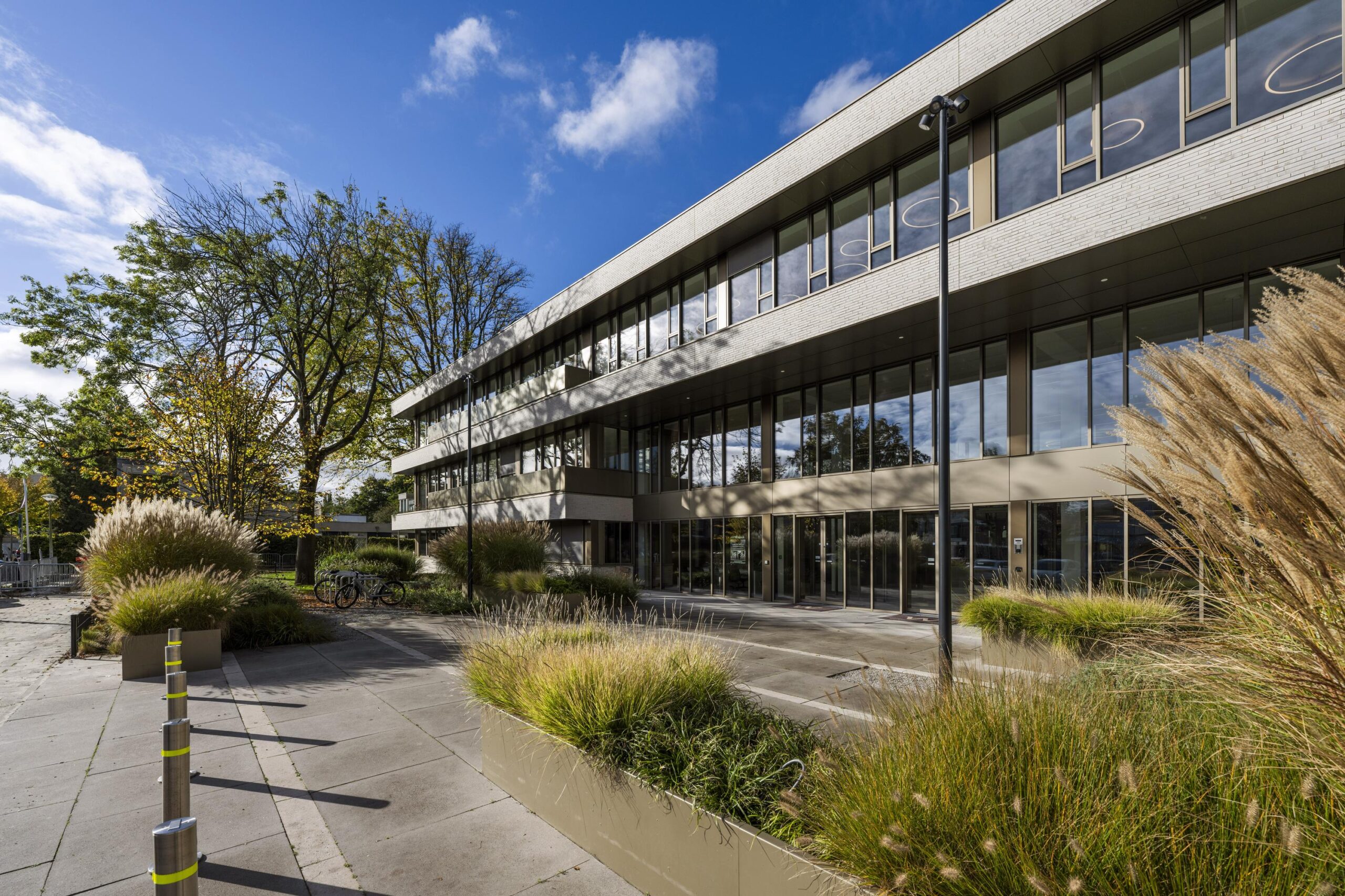 Modern office building "Walborg 2" with large windows and surrounding ornamental grasses on a sunny day.
