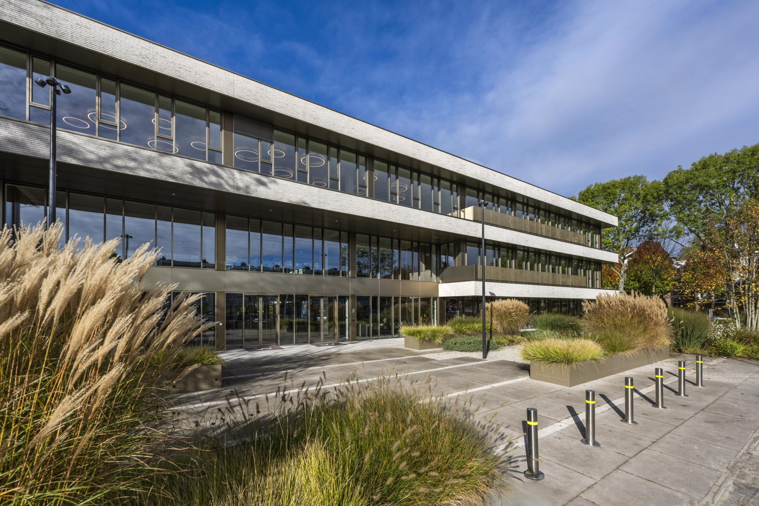 Modern office building "Walborg" with large glass windows, surrounded by ornamental grasses and trees under a clear blue sky.