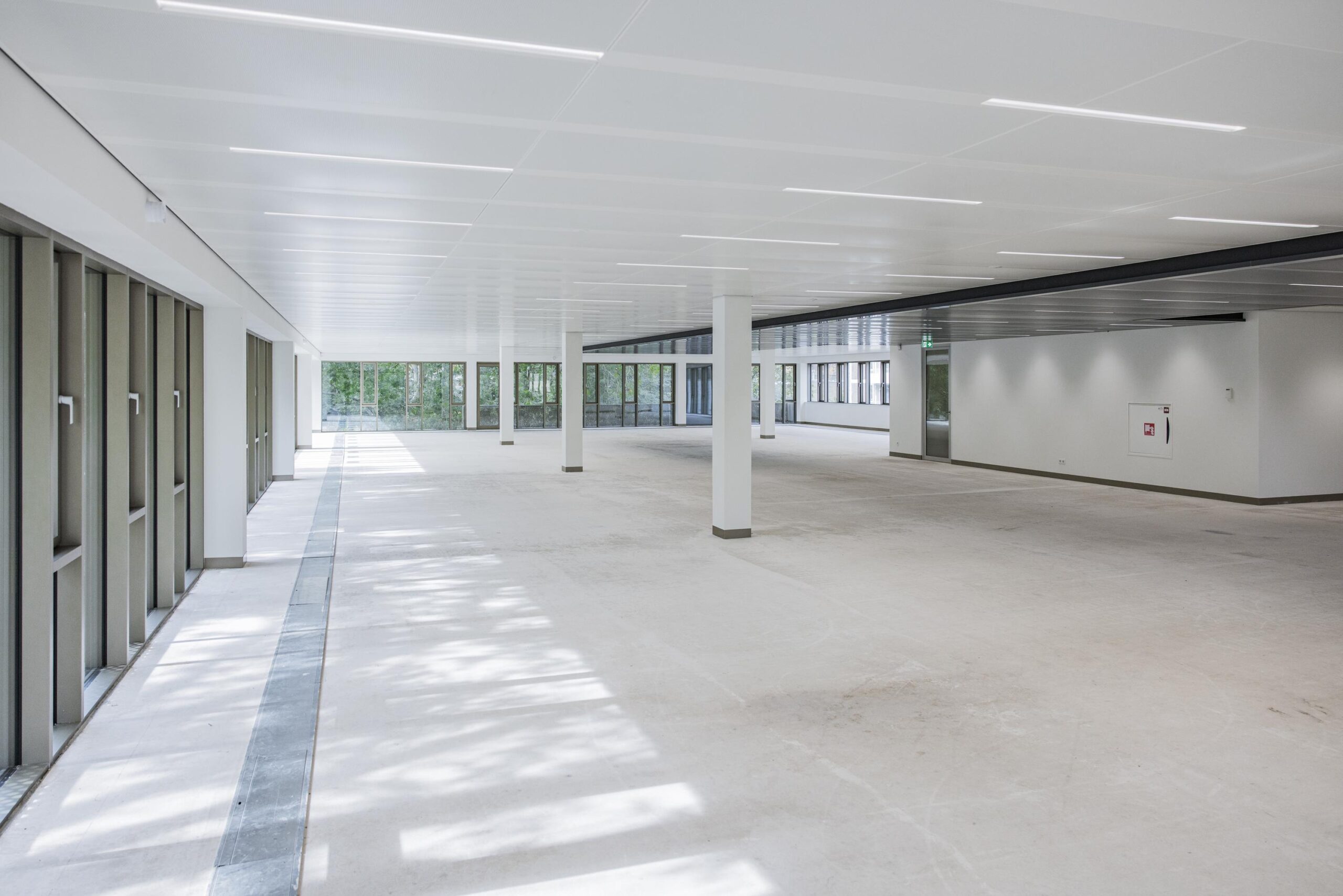 Empty modern office space with large windows, white ceilings, and structural columns at Walborg 2 building.