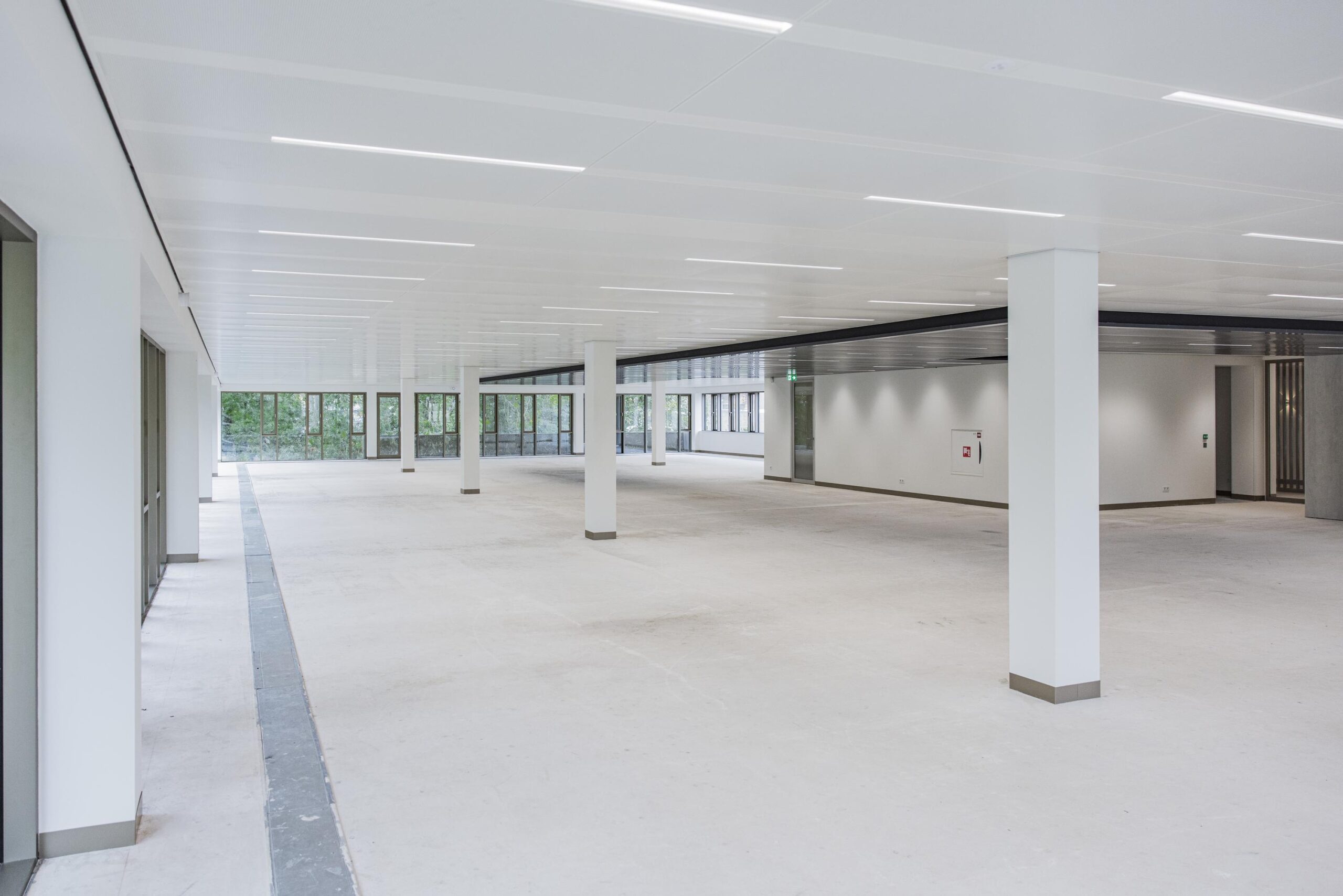 Spacious, empty office floor in the Walborg building with large windows and white walls.