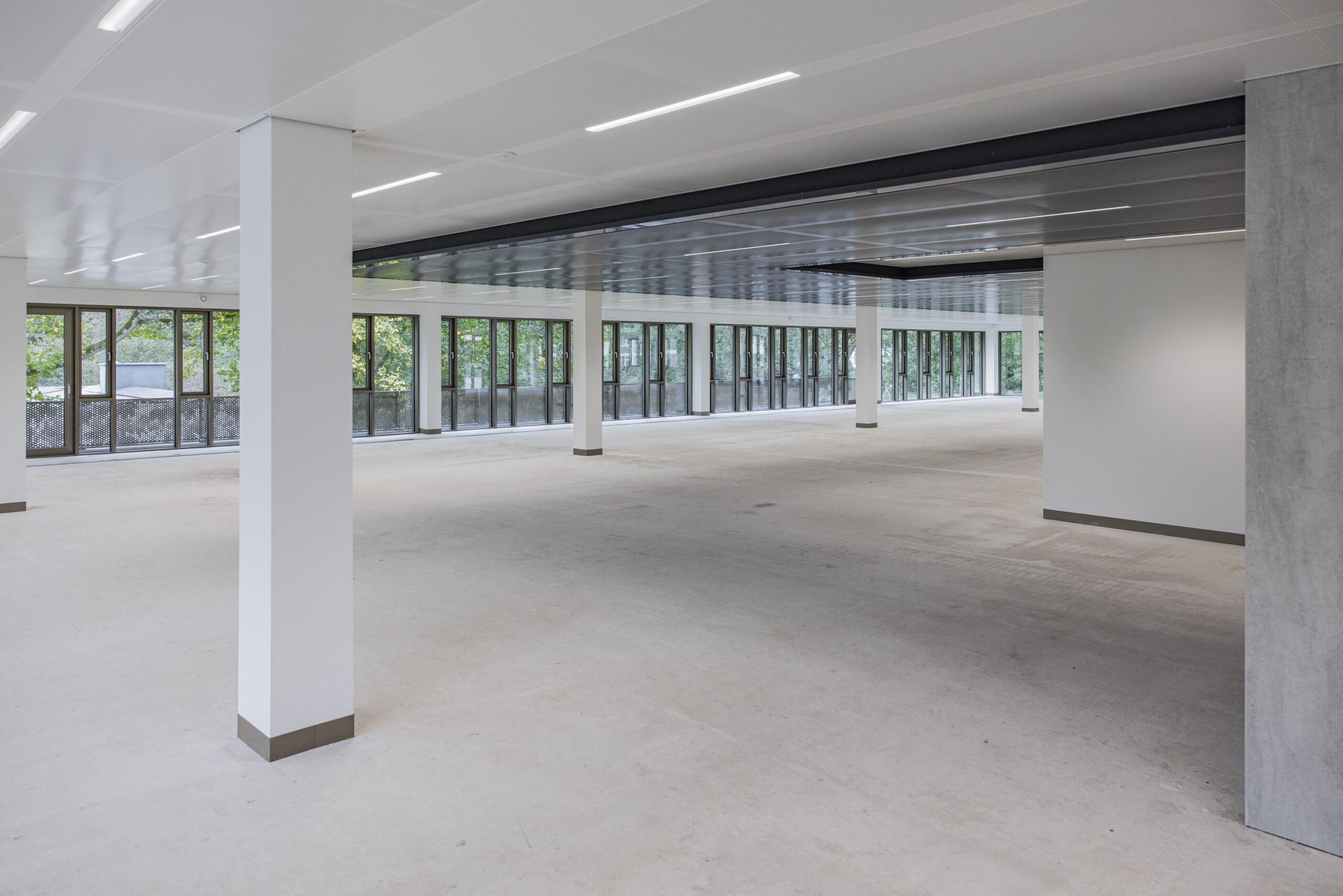 Spacious and modern empty office floor in the Walborg building with large windows and white pillars.