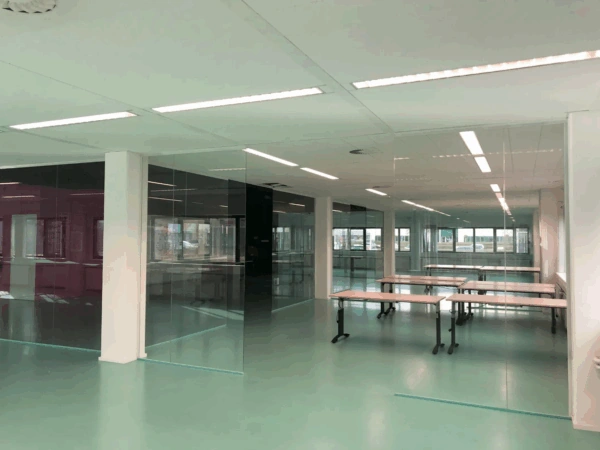Modern office space on Zekeringstraat with glass walls, fluorescent lighting, and several tables on a mint green floor.