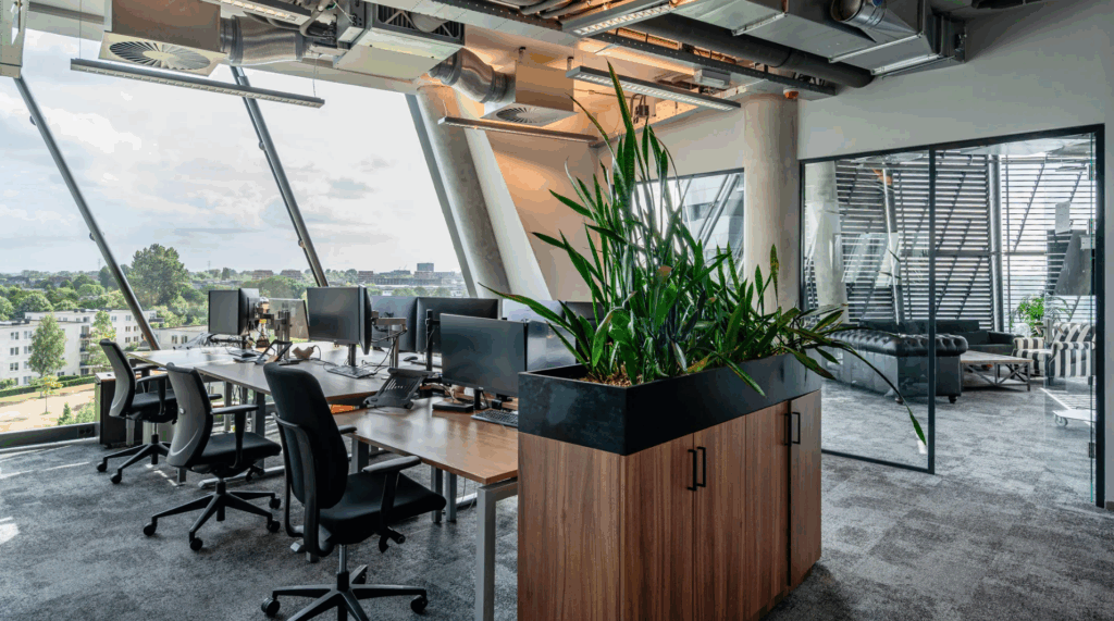 Modern open-plan office at TT. Vasumweg with large windows, workstations, indoor plants, and a glass-walled lounge area.