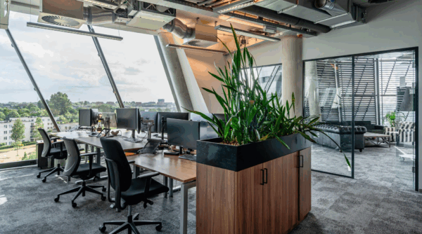 Modern open-plan office at TT. Vasumweg with large windows, workstations, indoor plants, and a glass-walled lounge area.