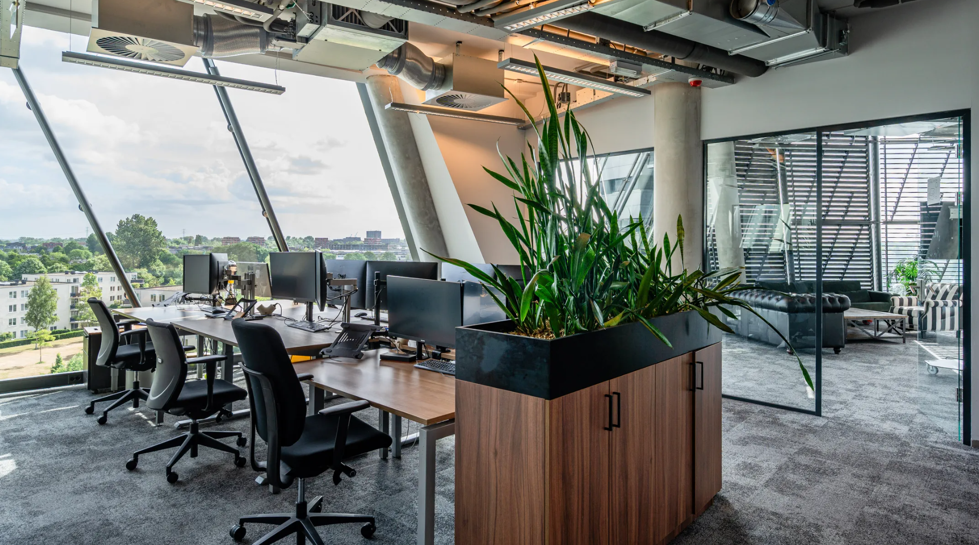 Modern open-plan office at TT. Vasumweg with large windows, workstations, indoor plants, and a glass-walled lounge area.