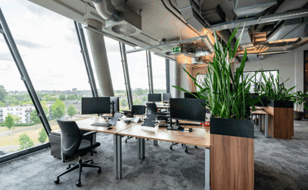 Modern open-plan office on the TT. Vasumweg with large windows, ergonomic desks, and indoor plants.