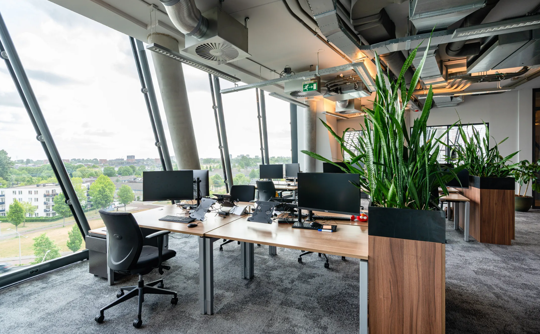 Modern open-plan office on the TT. Vasumweg with large windows, ergonomic desks, and indoor plants.