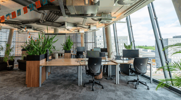 Modern open-plan office space at TT Vasumweg with large windows, plants, and multiple workstations.
