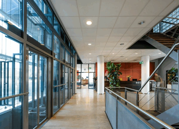 Modern reception area of the Rietlandpark building with glass walls, indoor plants, and a staircase.